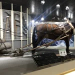 北見市の北網圏北見文化センターの展示物
