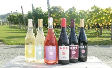 北見市のボスアグリワイナリーのワイン「桜夢雫」（さくらゆめしずく）が立ち並ぶ様子