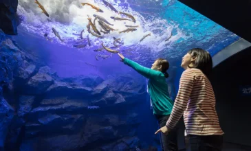 山の水族館（北の大地の水族館）の滝壺水槽